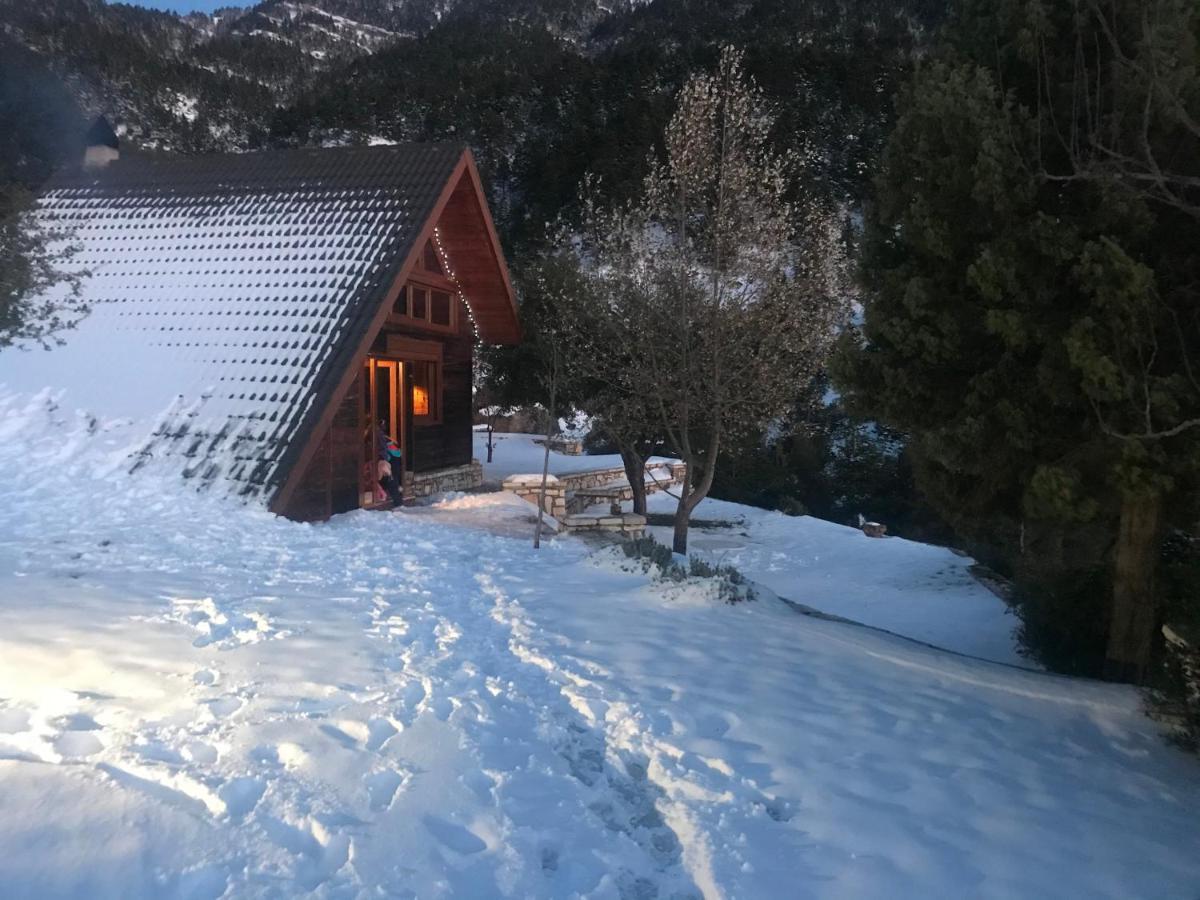 Chalet In The Forest Kalavryta Exterior foto