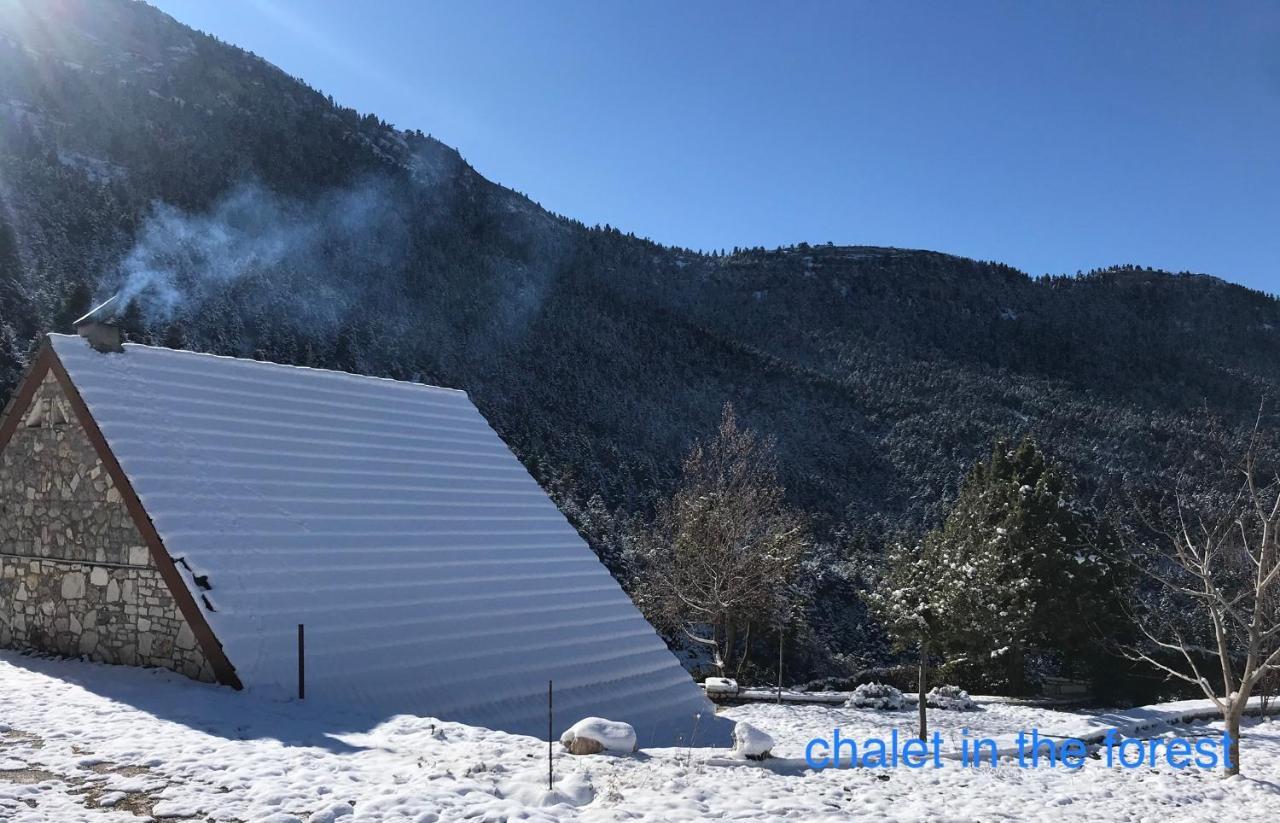 Chalet In The Forest Kalavryta Exterior foto
