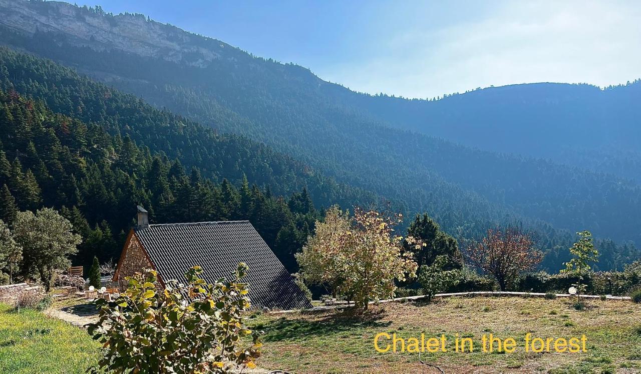 Chalet In The Forest Kalavryta Exterior foto